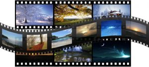 website